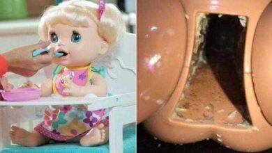 Boneca fica cheia de vermes por erro comum e choca pais!