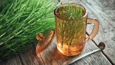 chá de cavalinha emagrece limpa o corpo elimina celulite e