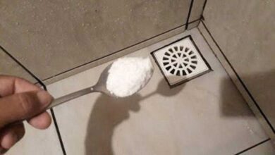 Colocar sal nos ralos elimina baratas mosquitinhos e aquele mau Colocar sal nos ralos elimina baratas, mosquitinhos e aquele mau cheiro nos ralos