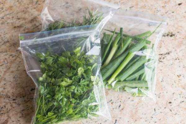 Como Congelar Ervas e Temperos