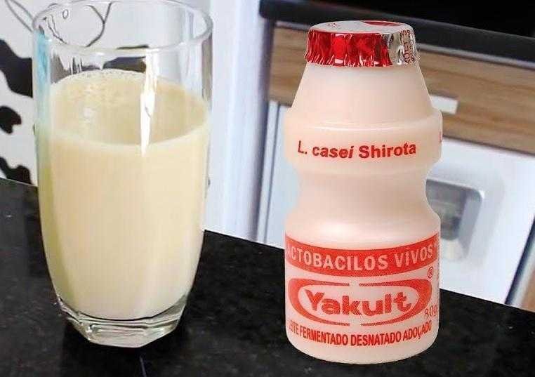 Como Fazer 1 Litro de Yakult Caseiro Como Fazer 1 Litro de Yakult Caseiro