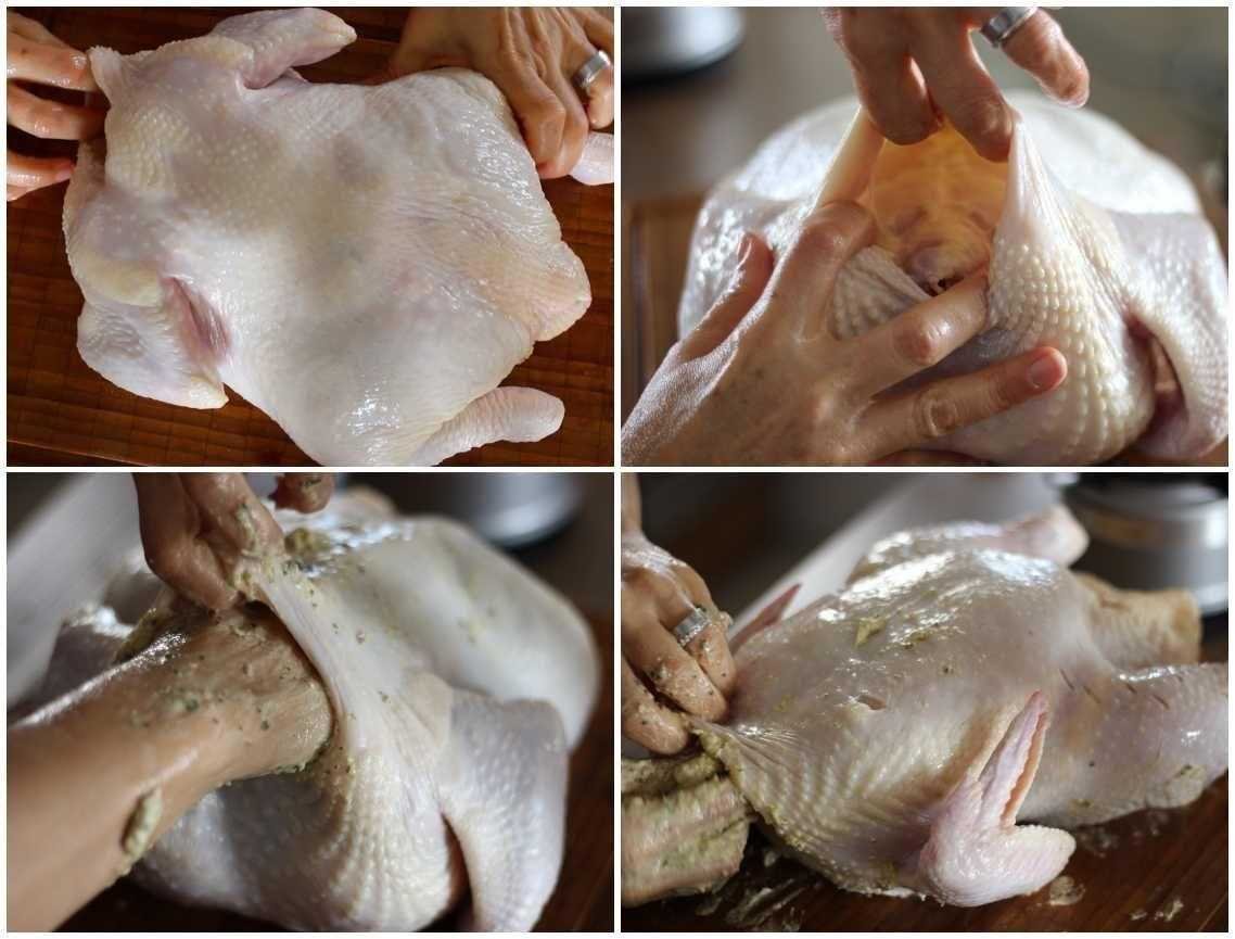 Como Limpar e Temperar Frango Inteiro Como Limpar e Temperar um Frango Inteiro