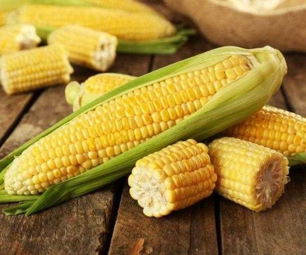 Como controlar o açúcar no sangue, reduzir o colesterol e melhorar a visão com milho d