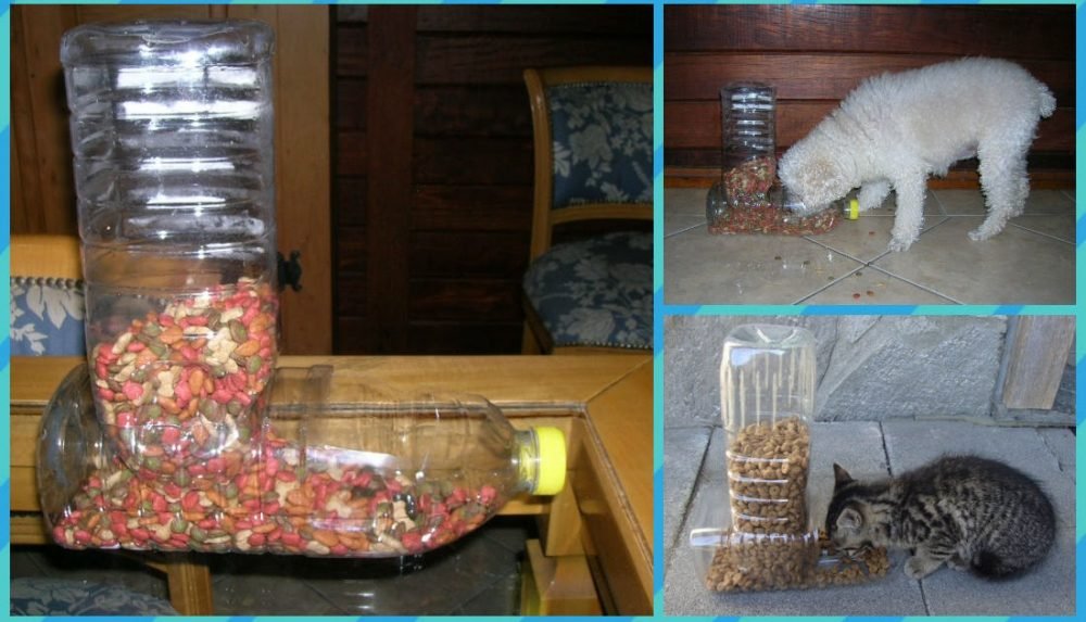 Como fazer comedouro para caes e gatos com garrafas PET blank