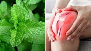 Como usar hortelã para recuperar as cartilagens e evitar dores