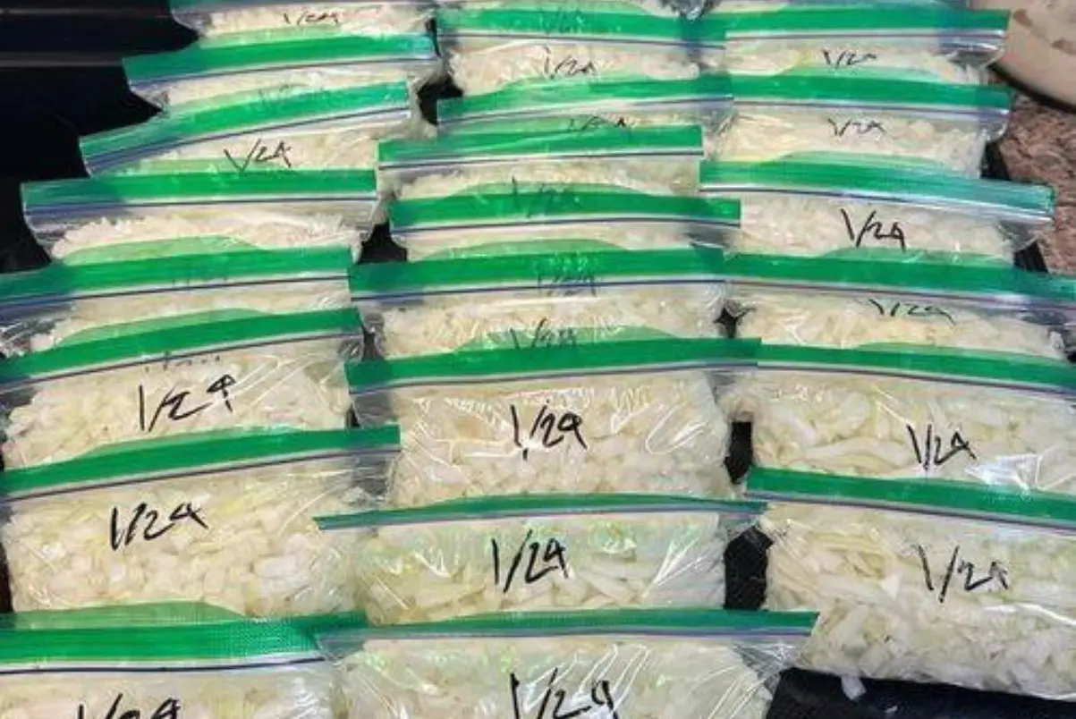 Conservando cebola no freezer saiba seus beneficios.webp Conservando cebola no freezer saiba seus benefícios