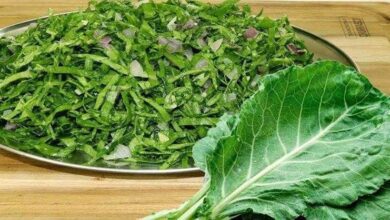 Couve possui mais ferro que um bife e mais cálcio que o leite, veja