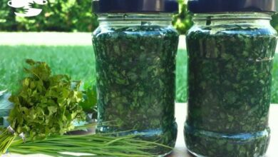 Dicas para Conservar Couve, Alfaces, Cebolinhas e Coentro