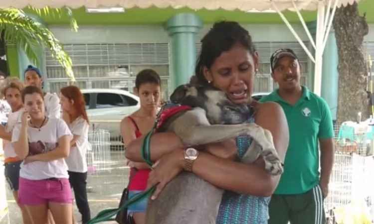 Donos reencontram em feira de adoção cão que estava perdido há 7 meses e