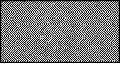 Estudos mostram que só 1% das pessoas conseguem encontrar o animal nesta imagem. 