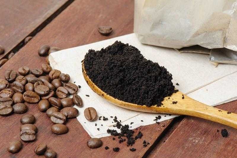 Formas de reaproveitar a borra de cafe em casa Formas de reaproveitar a borra de café em casa 4