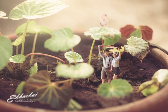 Fotografo de casamento transforma casais em miniaturas Foto: Facebook