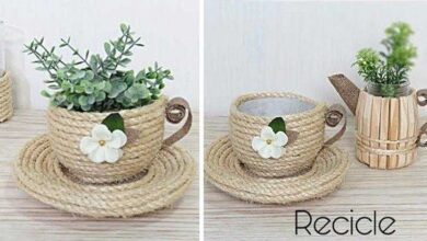 Ideias Lindas Com Plástico | Bau das DICAS