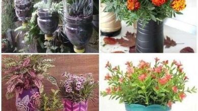 Ideias de Vasos com Garrafas PET