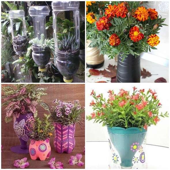Vasos Lindos em Garrafas PET