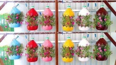 Jardim Suspenso Colorido de Garrafas de Plástico Recicladas