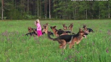 Menina de 5 anos, brinca com os seus melhores amigos. Mas quando ela levanta os braços? INCRÍVEL!