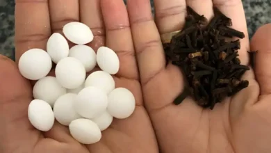 Click Bolso Receitas