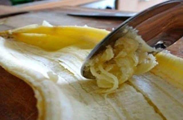 Nunca mais jogue fora essa parte da banana Aqui esta Nunca mais jogue fora essa parte da banana! Aqui está o porquê...