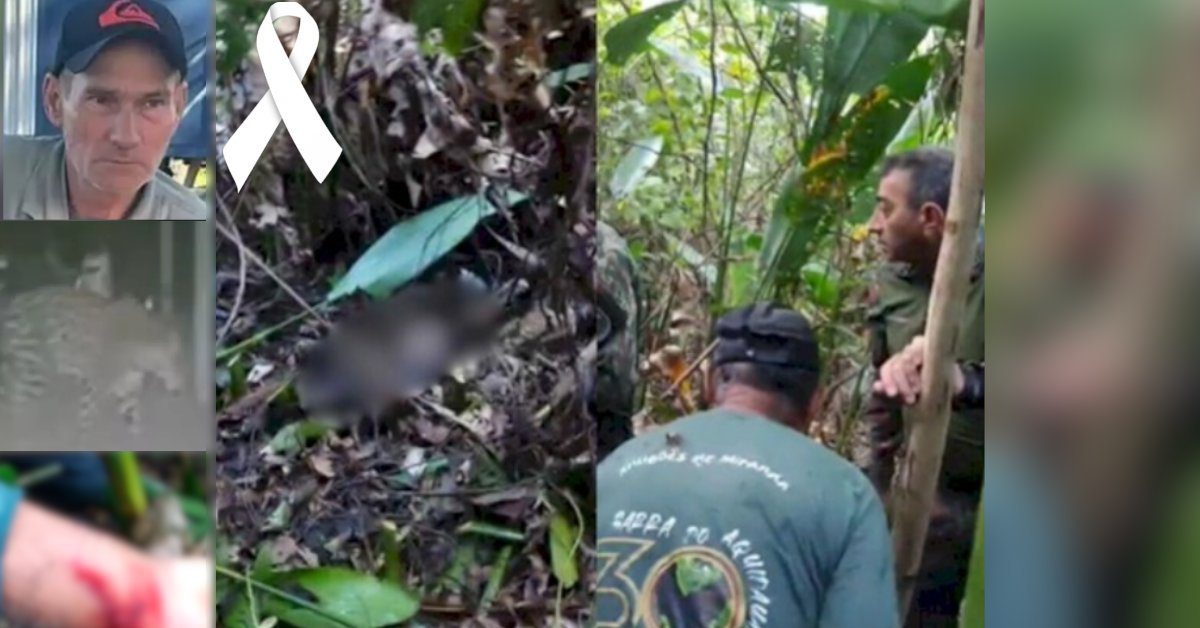 Onça que matou caseiro no Pantanal avançou sobre equipe que encontrou o corpo da vítima