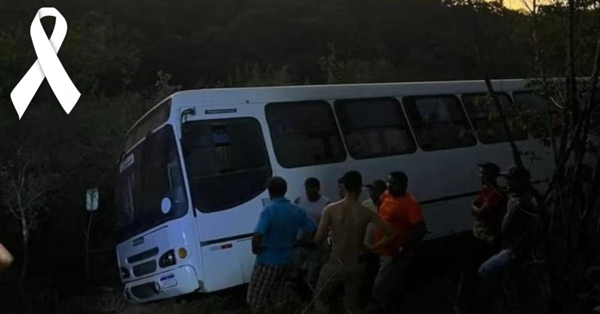 Onibus que levava jovens para cerimonia de crisma despencou de