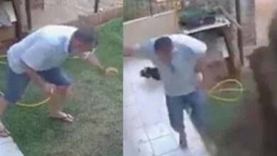 Oops: Homem explode completamente o jardim depois que ele tenta se livrar de uma barata