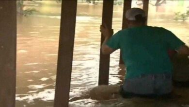 Os donos deixaram a cadela acorrentada à casa. Agora veja quando a equipe de notícias aparece…