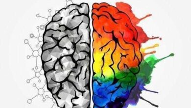 Qual o seu tipo de inteligência?