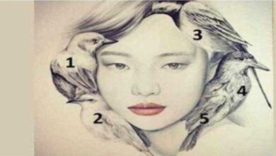 Qual pássaro você viu primeiro? Responda a pergunta e descubra o que isso significa para você