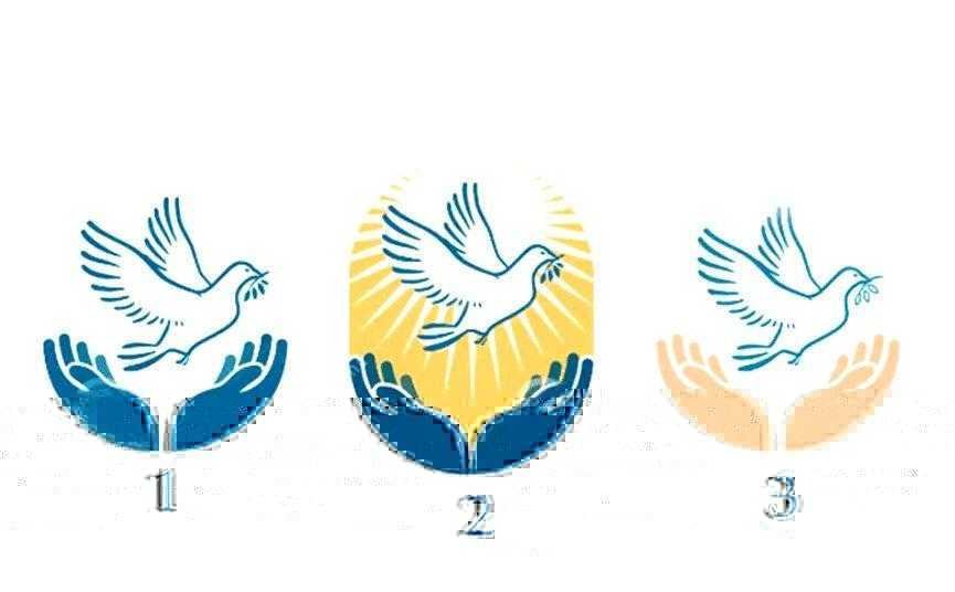 Qual pomba da paz lhe atrai mais? Escolha e veja sua linda mensagem