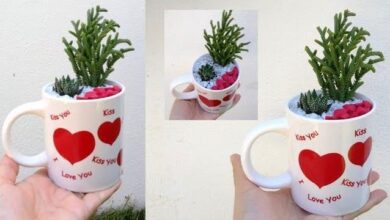 Reaproveite Suas Canecas E As Transforme Em Arranjos