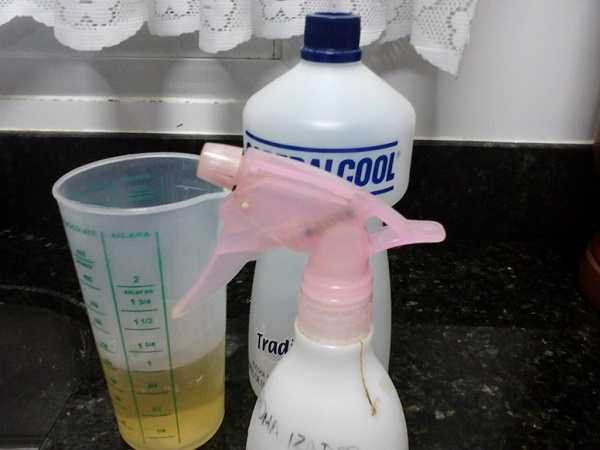 Receita Caseira Para Eliminar Formigas Tracas e Baratas Receita Caseira Para Eliminar Formigas, Traças e Baratas