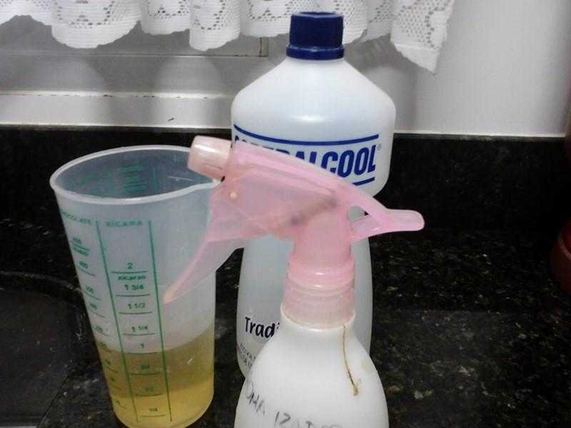 Receitas para acabar com os mosquitos em casa Receitas para acabar com os mosquitos em casa
