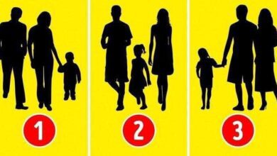 Teste psicológico: Qual dos grupos não é uma família?