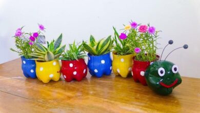 Transformando Garrafas De Plástico em Vasinhos Para Jardins
