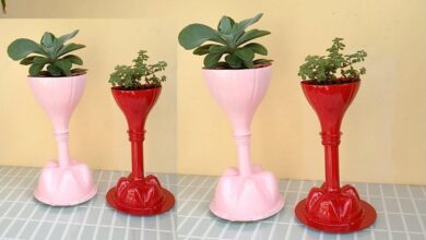 Transformando Garrafas Pet em Vasos