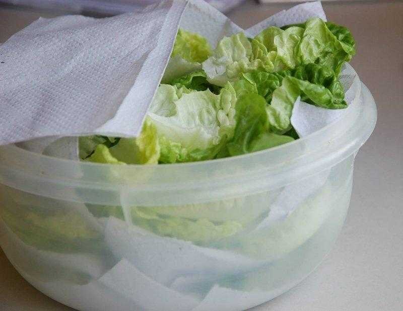 Truque para conservar o alface por mais tempo