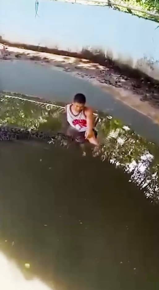 O turista afirmou que pensou que o crocodilo era uma estátua porque ele não se mexia, então entrou no recinto para tirar uma selfie. (ViralPress)