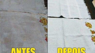 Veja como deixar seu pano de prato branquinho