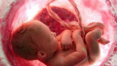 Vídeo mostra os 9 meses de gestação em apenas 4 minutos!