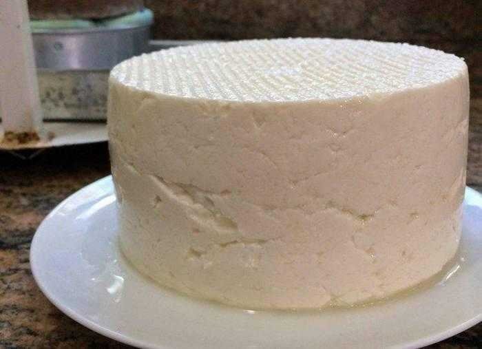 Aprenda a preparar o melhor queijo caseiro