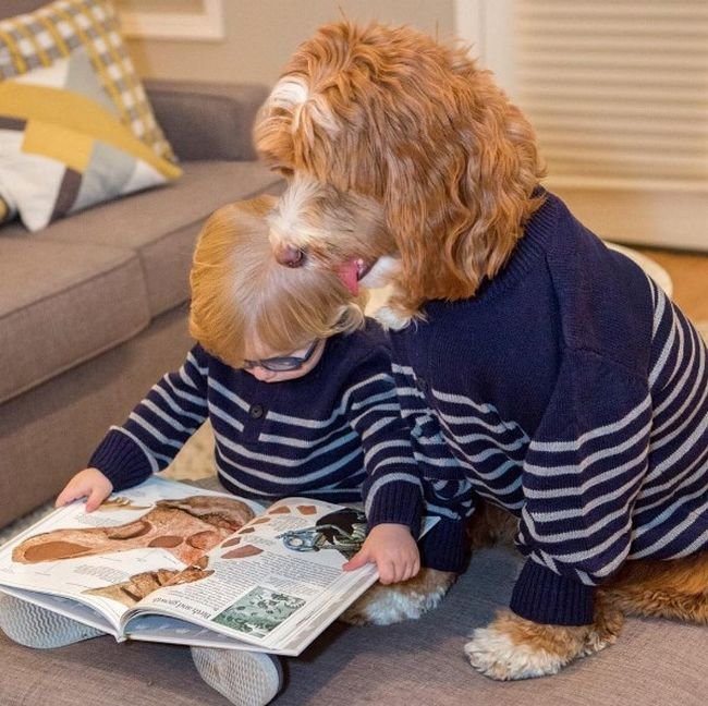 cachorro-roupas-bebe-7