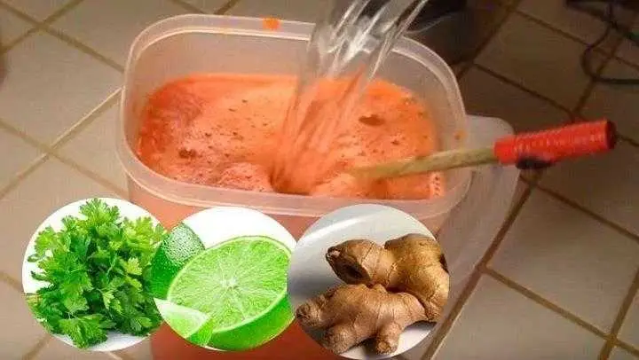Bebida caseira para subir defesas e eliminar anemia