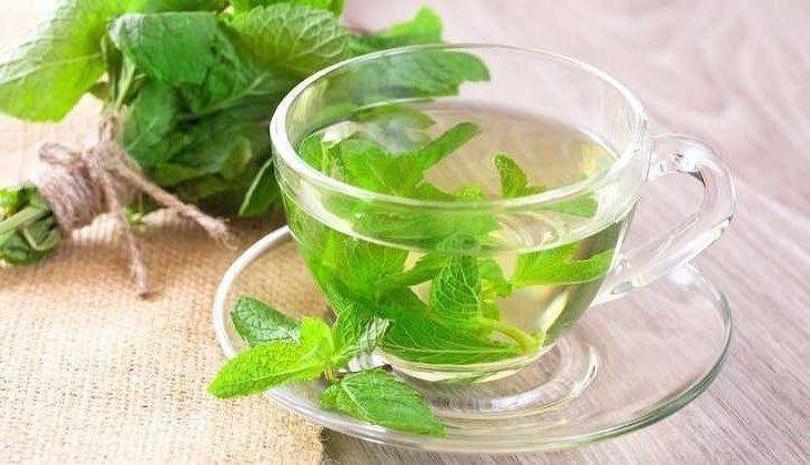 cha de hortela para dores de cabeca e estomago Chá de hortelã para dores de cabeça e estômago