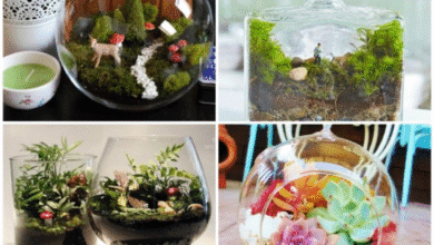 Como criar um jardim miniatura e tornar sua casa mais aconchegante