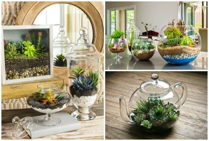 como criar um jardim miniatura e tornar sua casa mais 1