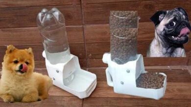 Como Fazer Bebedouro e Comedouro Automático Com Garrafa Pet