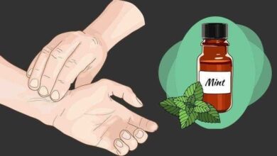 Como fazer óleo de hortelã em casa d