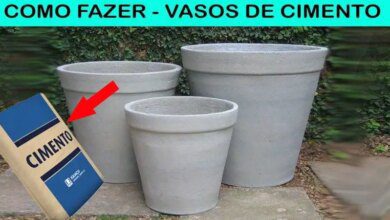 Como Fazer Vaso de Cimento com Técnica – Passo a Passo
