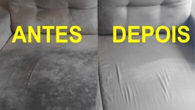 Como limpar sofá de forma pratica e eficaz